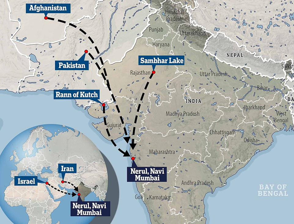 Common Migratory Route_of_Lessor_Flamingos